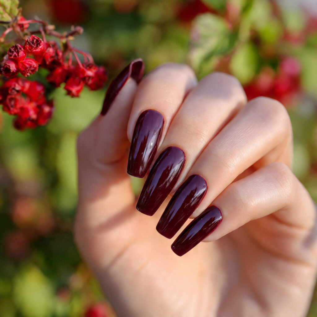 attractive black cherry gloss coffin nails with ou