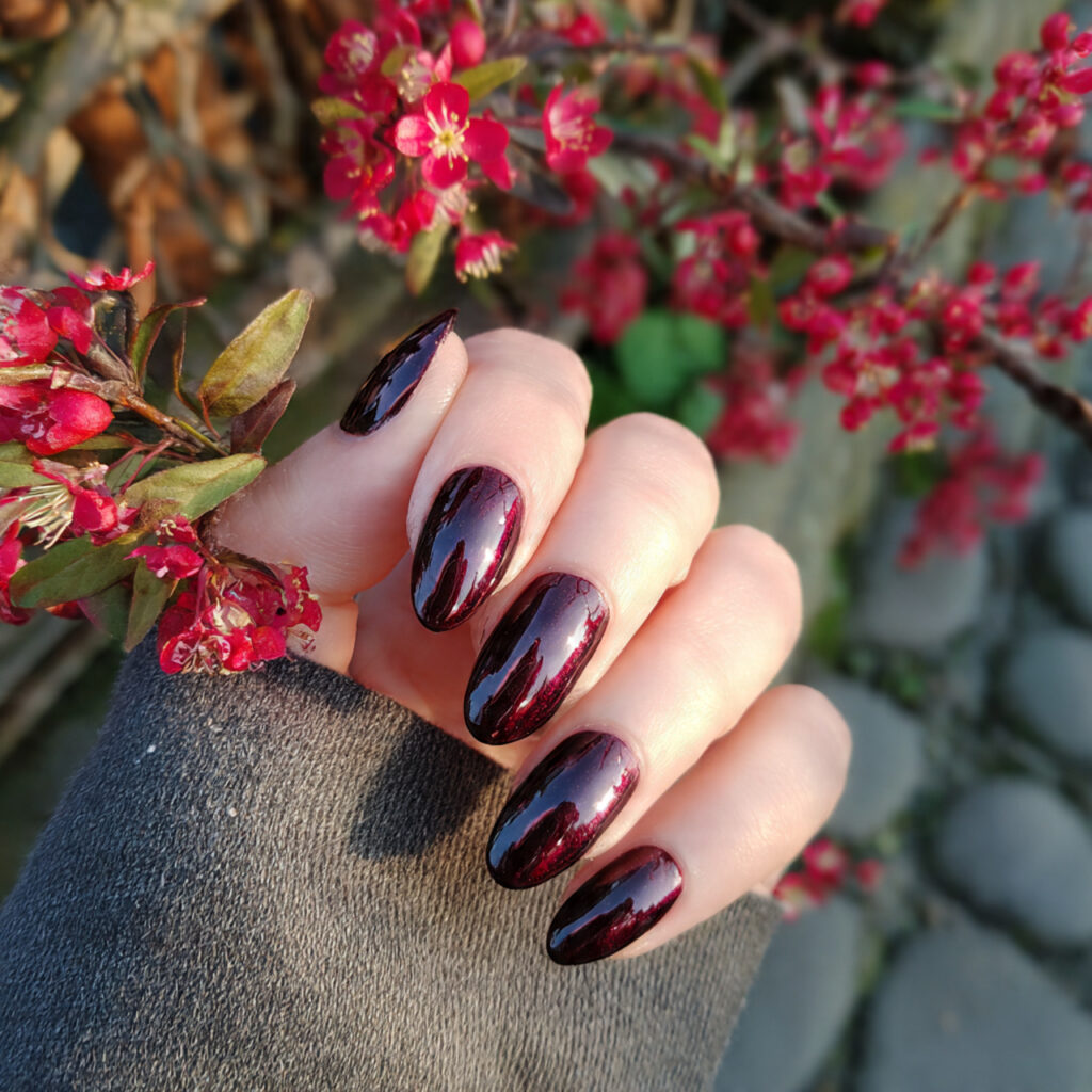 attractive black cherry gloss nails with outdoor f