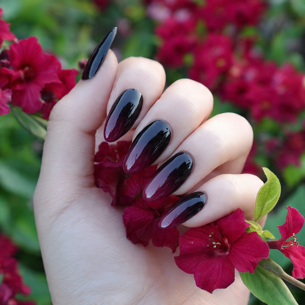 attractive black deep garnet ombre acrylic nails w