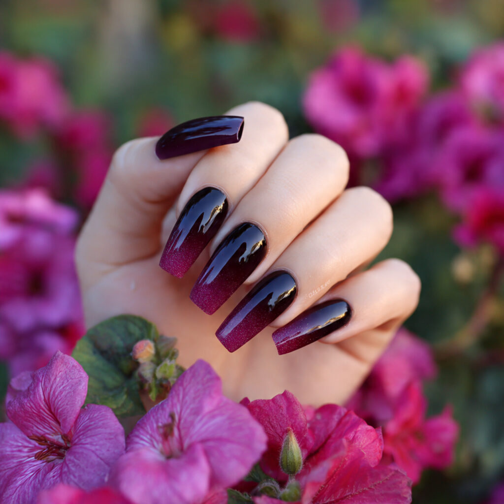 attractive black to deep wine coffin ombre nails w