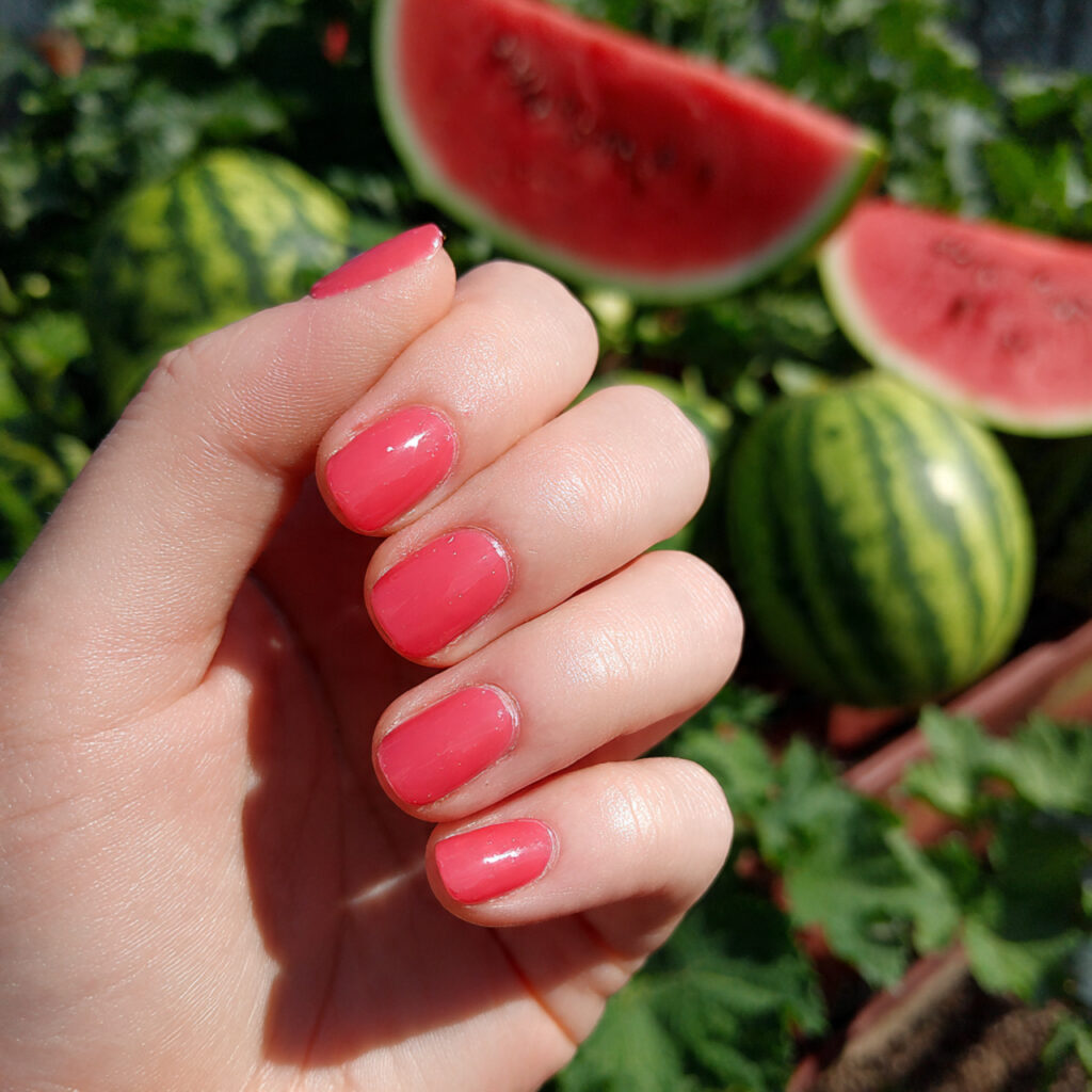 attractive watermelon pink short nails short nails
