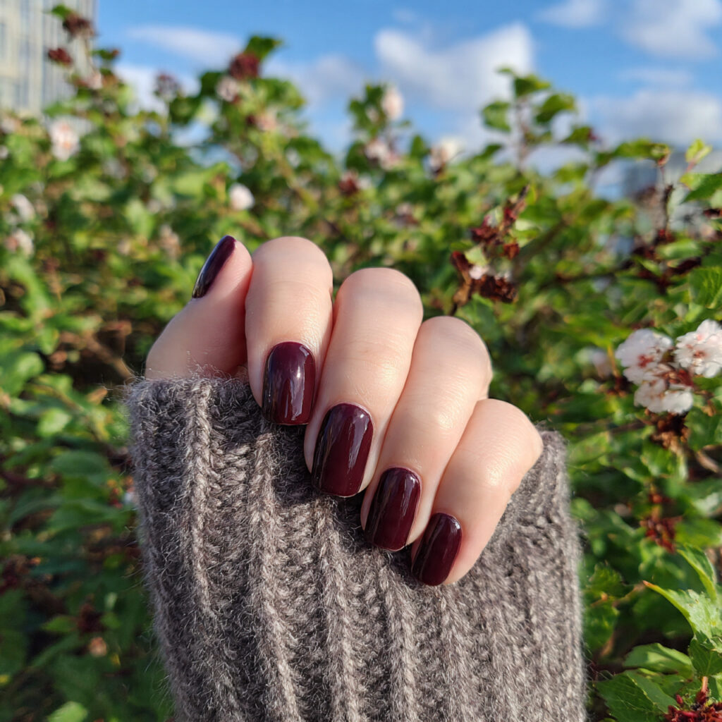 Nail Inspo January: Cozy, Fresh Nail Ideas to Start the Year Beautifully 7 attractive deep burgundy cozy nails with outdoor b